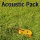 Acoustic Pack