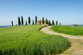 Farm villa with cypresses and crops in Tuscany - PhotoDune Item for Sale