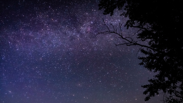 Starry Sky  of the Milky Way