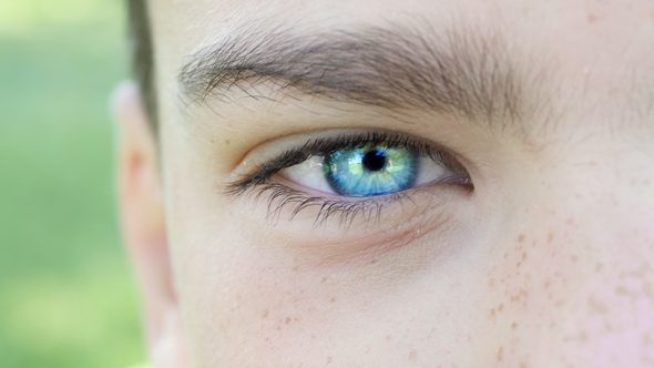 Blue Eye of a Boy