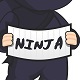 Ninja Girl