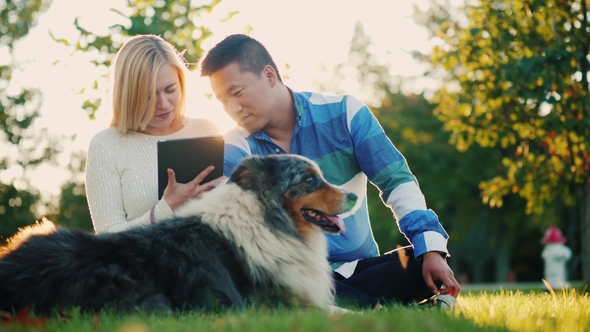 A Young Couple Is Resting in the Park with a Dog, Enjoying a Tablet. Beautiful Sunset