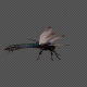Dragonfly Idle Pack 4In1 - VideoHive Item for Sale