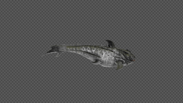 Dunkleosteus Bite Pack 4In1