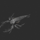 Eurypterid Swim Pack 4In1 - VideoHive Item for Sale