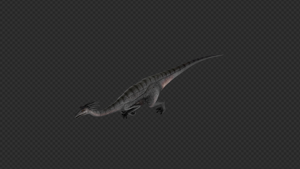 Gallimimus Run And Swim 12 In 1 alt