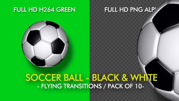 Soccer Ball - White and Black - Flying Transition - Pack of 10 alt