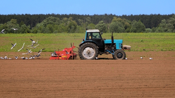 Agricultural Work on a Tractor Farmer Sows Grain.