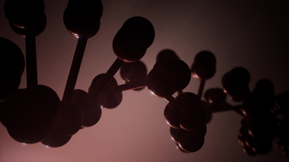 DNA Model Rotate alt