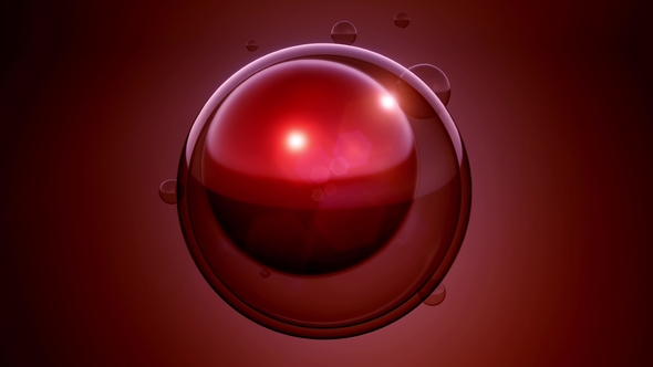 Rotate Cell Division alt