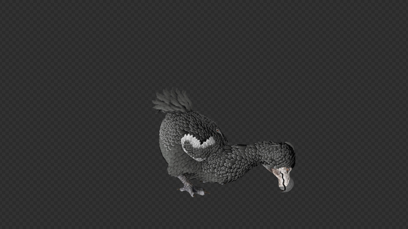 Dodo Bird Graze Idle Lay Egg Pack 12 IN 1 alt