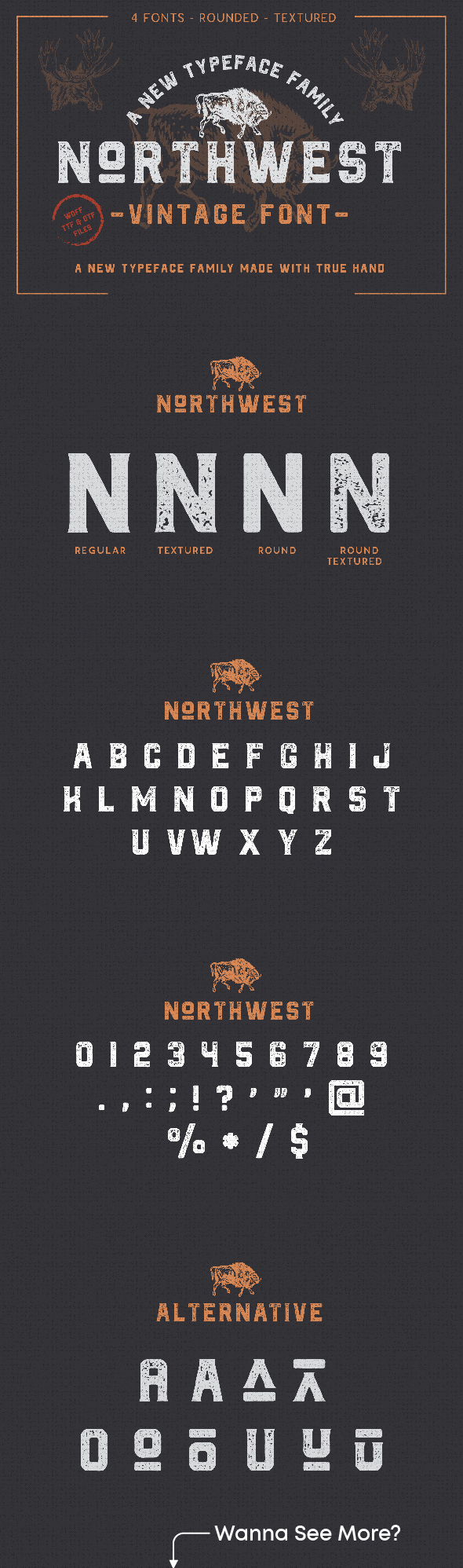 2024's Best Selling Fonts