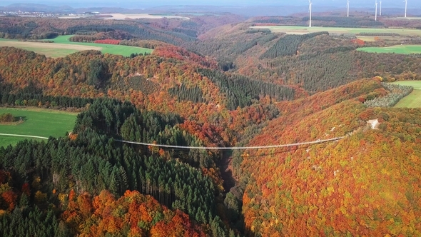 Flight Over Suspension Footbridge Geierlay, Germany