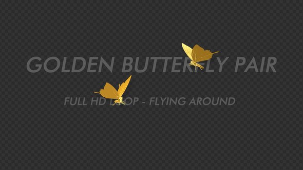 Golden Butterfly - Romantic Pair - Flying Around alt