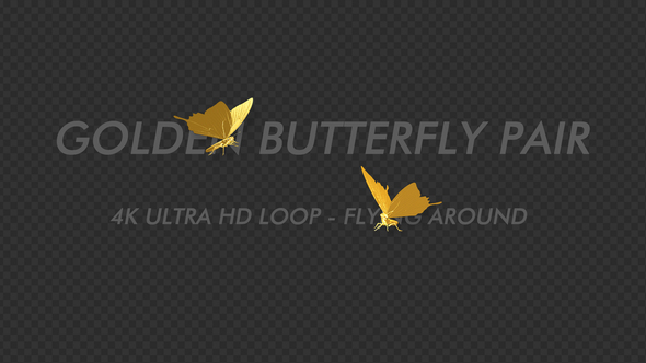 Golden Butterfly - Romantic Pair - Flying Around - 4K alt