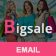 BigSale - Responsive Email Template - ThemeForest Item for Sale
