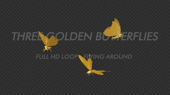 Golden Butterflies - Three Flying Around - Transparent Loop alt