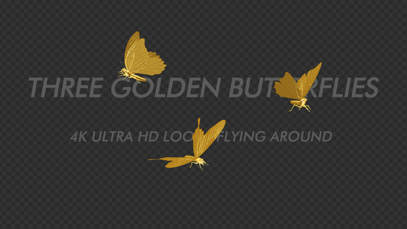 Golden Butterflies - Three Flying Around - Transparent Loop - 4K alt