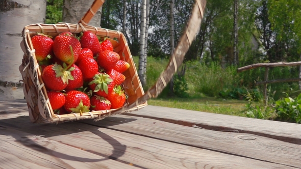 Strawberry Poured From a Basket Onto a Wooden Table