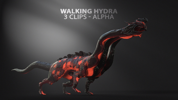 Walking Three Headed Hydra