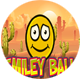 Smiley Ball - HTML5 Javascript game(Construct 2 | Construct 3 both version included) - CodeCanyon Item for Sale