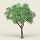 Game Ready Forest Tree 18 - 3DOcean Item for Sale