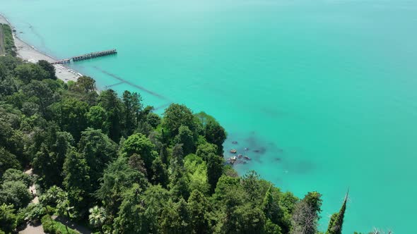 Aerial view of the Black sea coast. The Botanical Garden of Batumi, located at area of Green Cape