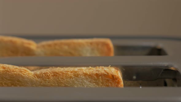 Toast bread inserting in electric toaster 4K 2160p 30fps UltraHD footage - Slow toasting of toast br