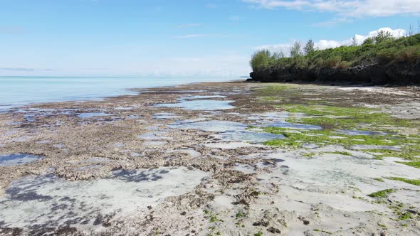 Shore of Zanzibar Island Tanzania at Low Tide