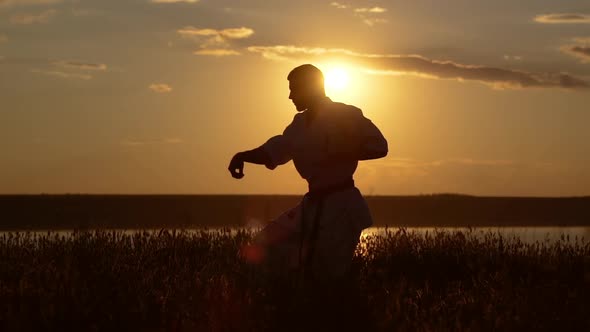 Silhouette of Man Training Karate at Sunset