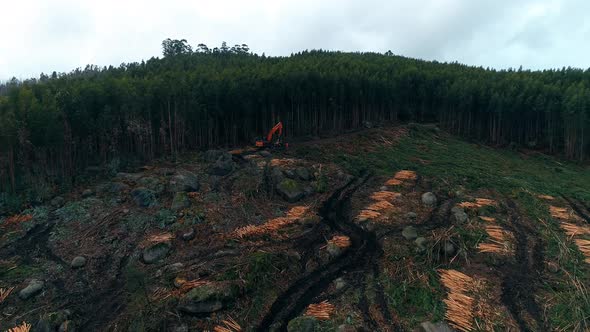 Deforestation on tropical mountainside, agricultural expansion; aerial