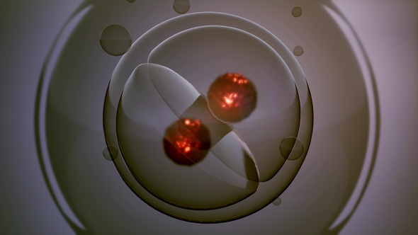 Rotate Cell Division alt