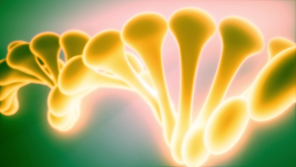 DNA Model Rotate alt