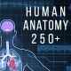Human Anatomy HUD Pack 200+ - VideoHive Item for Sale