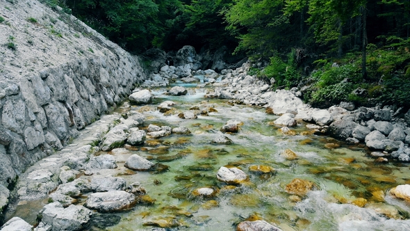 A Stream Mountain River Is Flowing Down the Rocks Surrounded By Green Trees