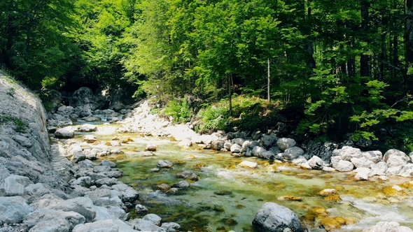 Forest Landscape with a Running Stream, Mountain River and Rocks.