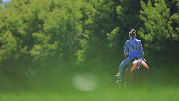 Girl Riding a Horse in a Field Goes Into the Distance Towards the Forest