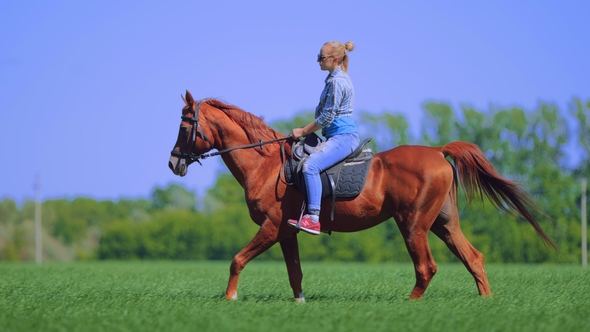 Girl Holding the Reins While Riding on the Saddle on a Big Brown Horse in the Sunlit Field