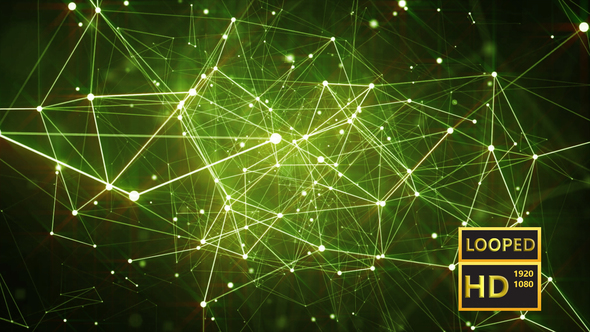 Composition Based on Plexus