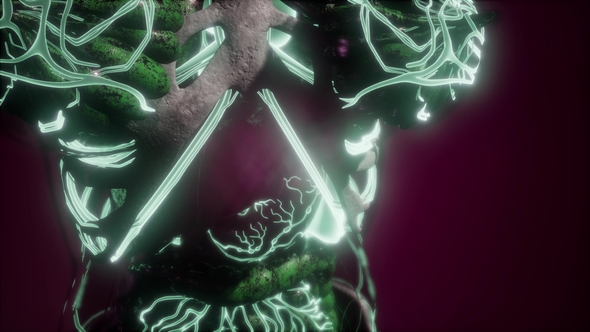 Human Body with Glow Blood Vessels alt