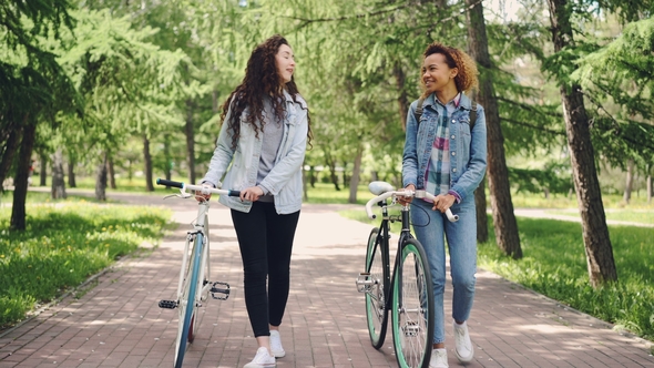 Sporty Young Women Are Walking in Park with Bicycles and Chatting Enjoying Beautiful Fir Trees
