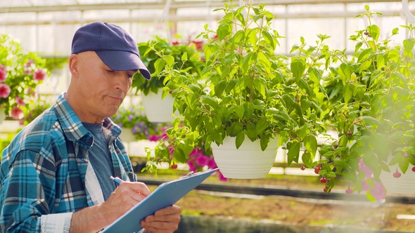 Gardener Writing In Clipboard While Supervising Plants In Greenhouse