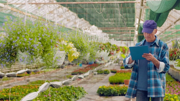 Gardener Writing In Clipboard While Supervising Plants In Greenhouse