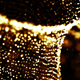 Gold Lights Abstract Particles - VideoHive Item for Sale