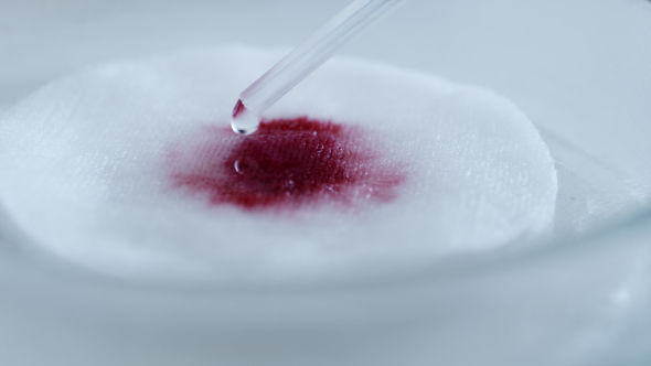 Dripping Red Liquid Into a Petri Dish
