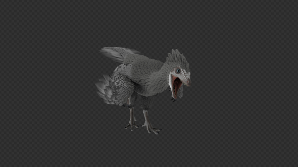 Archaeopteryx Bite And Cuddle Pack 8 In 1 alt