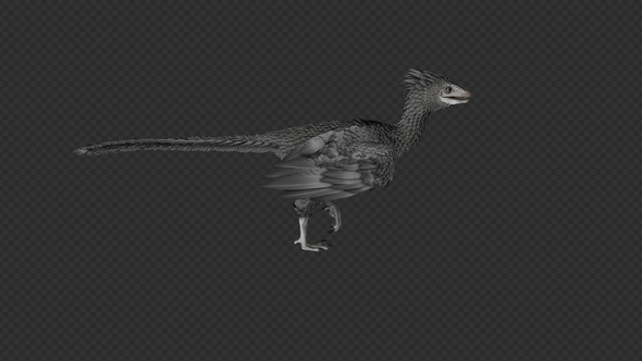 Archaeopteryx Walk And Eat Pack 8 In 1 alt