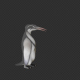 Penguin Bite And Cuddle And Eat 6 In 1 - VideoHive Item for Sale
