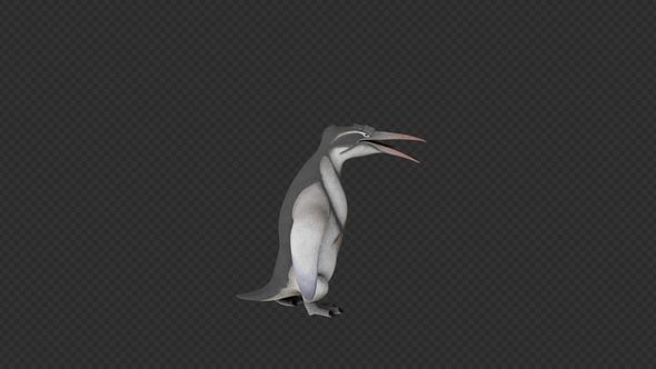 Penguin Run And Idle And Lay Egg 6 In 1 alt