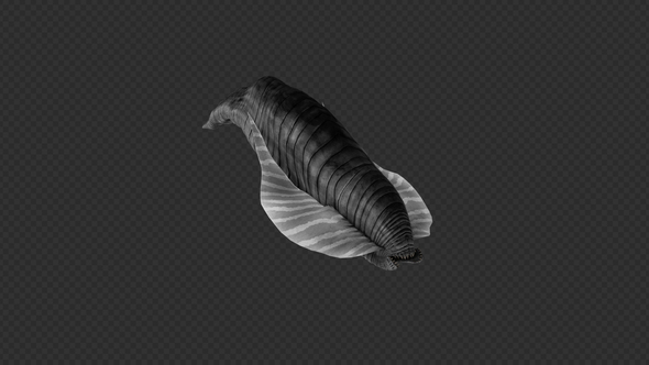 Leech Move Pack 2 In 1 alt